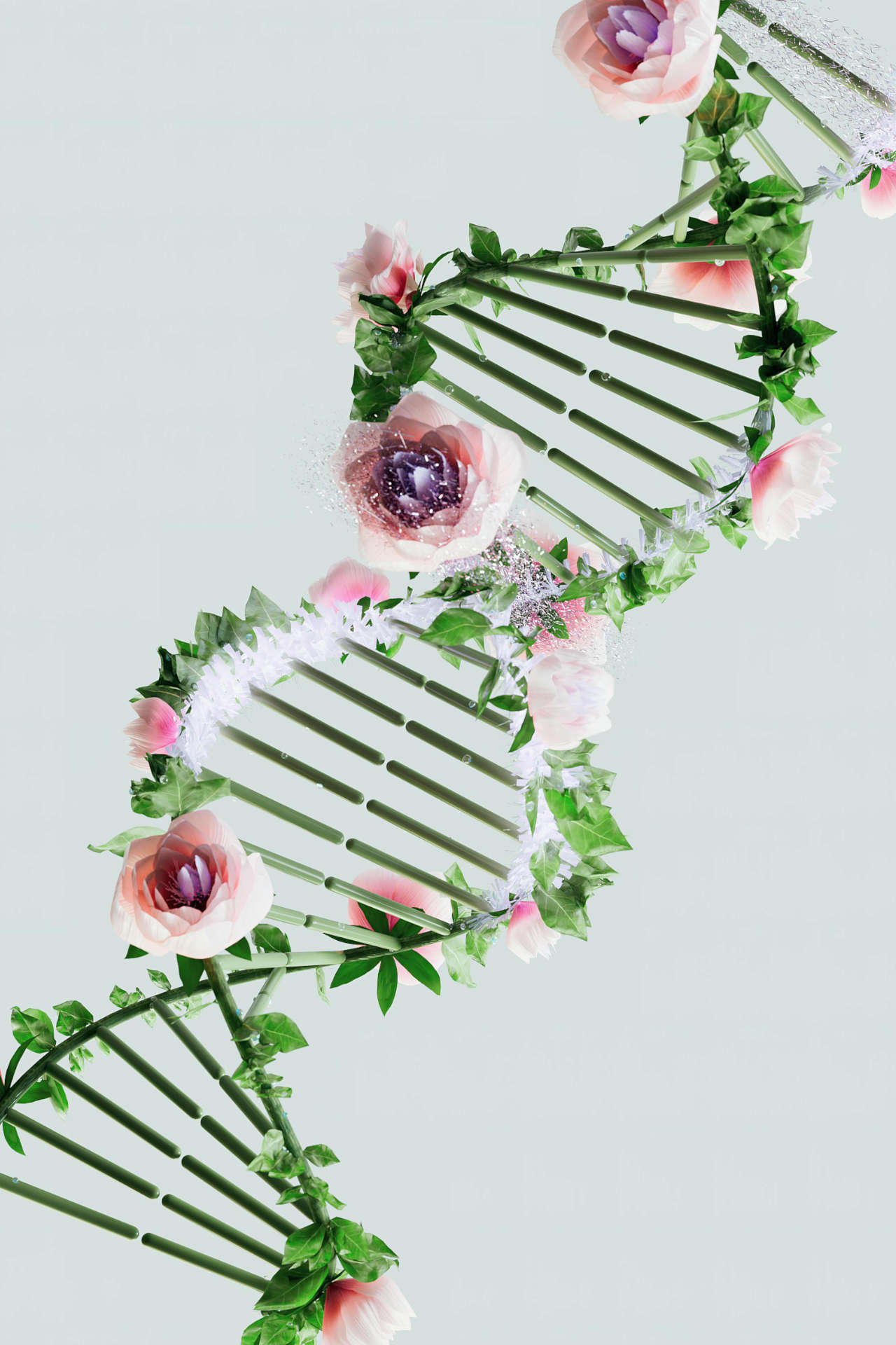 Flowery DNA