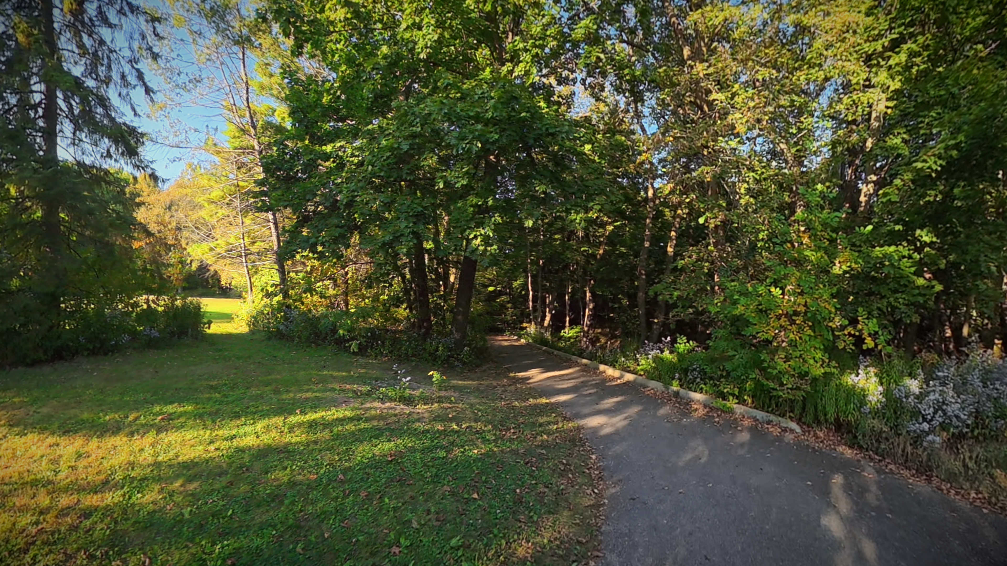 A small footpath leading into the woods and down to the lake 